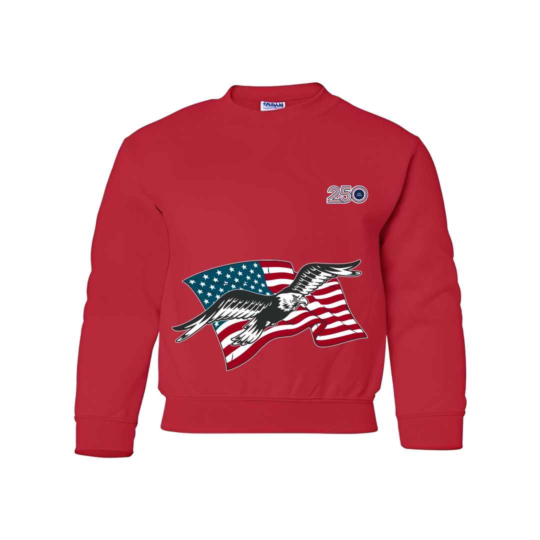 Youth Red Sweatshirt — American Flag
